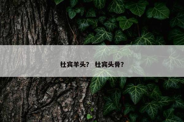 杜宾羊头？ 杜宾头骨？