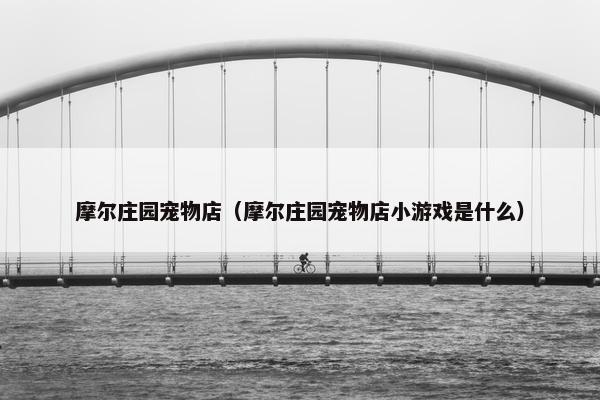 摩尔庄园宠物店（摩尔庄园宠物店小游戏是什么）