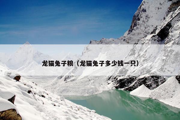 龙猫兔子粮（龙猫兔子多少钱一只）