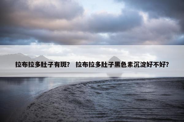 拉布拉多肚子有斑？ 拉布拉多肚子黑色素沉淀好不好？