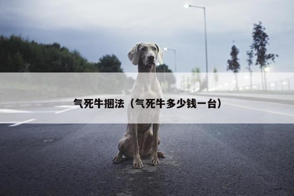 气死牛捆法（气死牛多少钱一台）