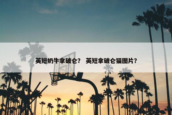 英短奶牛拿破仑？ 英短拿破仑猫图片？