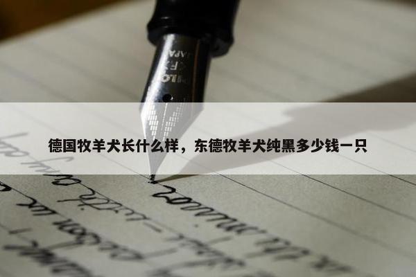 德国牧羊犬长什么样，东德牧羊犬纯黑多少钱一只