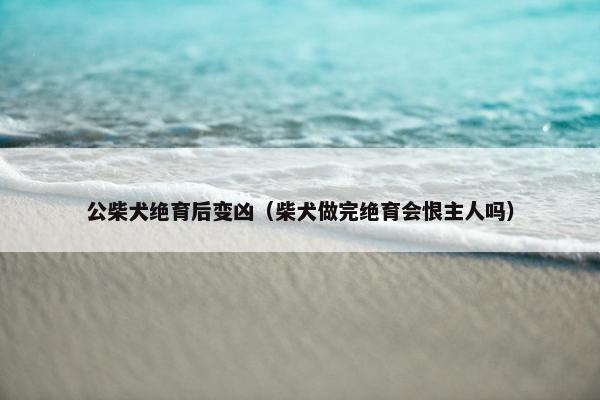 公柴犬绝育后变凶（柴犬做完绝育会恨主人吗）