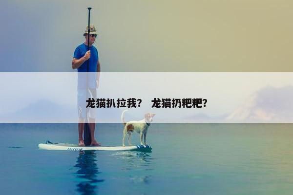 龙猫扒拉我？ 龙猫扔粑粑？
