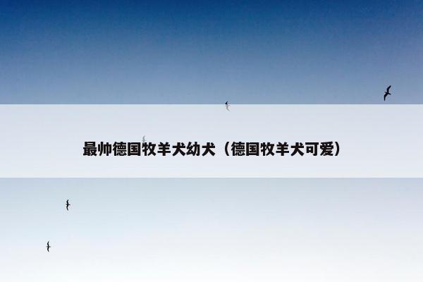 最帅德国牧羊犬幼犬（德国牧羊犬可爱）