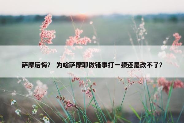 萨摩后悔？ 为啥萨摩耶做错事打一顿还是改不了？