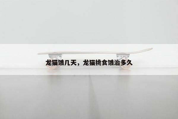 龙猫饿几天，龙猫挑食饿治多久