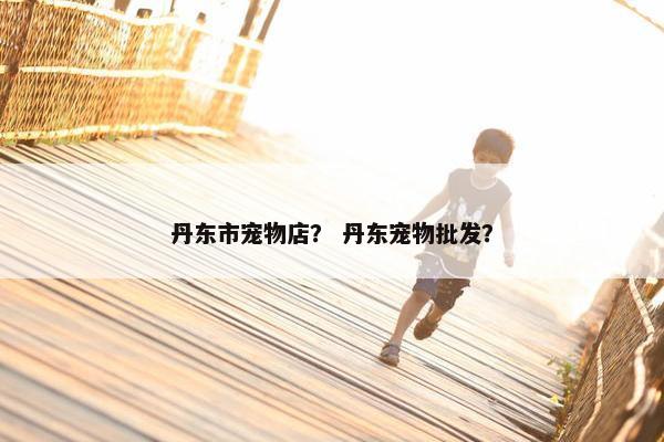 丹东市宠物店？ 丹东宠物批发？