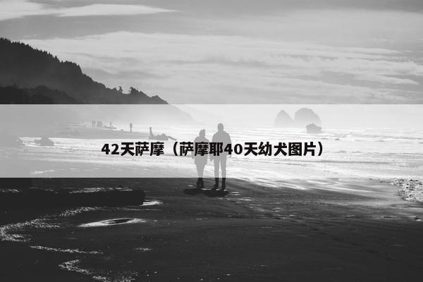 42天萨摩（萨摩耶40天幼犬图片）