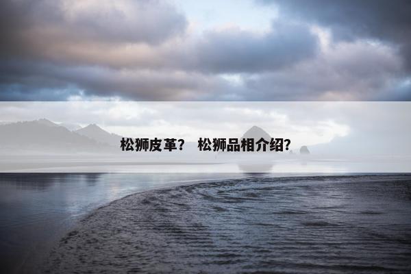 松狮皮革？ 松狮品相介绍？