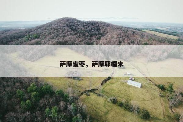 萨摩蜜枣，萨摩耶糯米