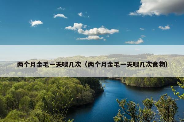 两个月金毛一天喂几次（两个月金毛一天喂几次食物）