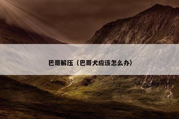 巴哥解压（巴哥犬应该怎么办）