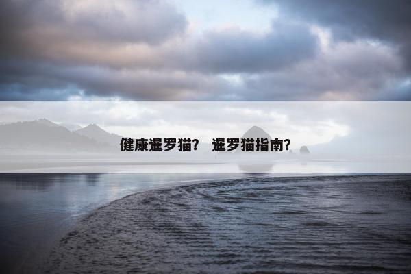 健康暹罗猫？ 暹罗猫指南？