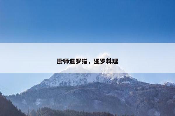 厨师暹罗猫，暹罗料理