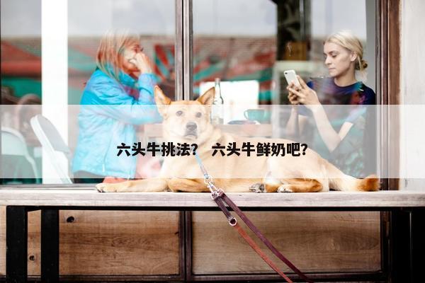 六头牛挑法？ 六头牛鲜奶吧？