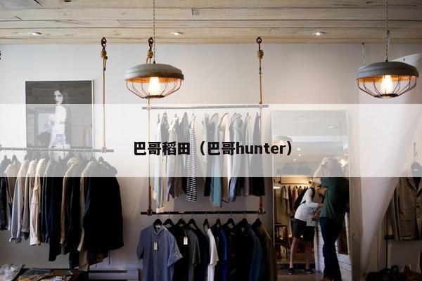 巴哥稻田（巴哥hunter）