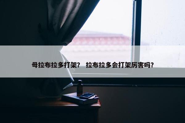 母拉布拉多打架？ 拉布拉多会打架厉害吗？