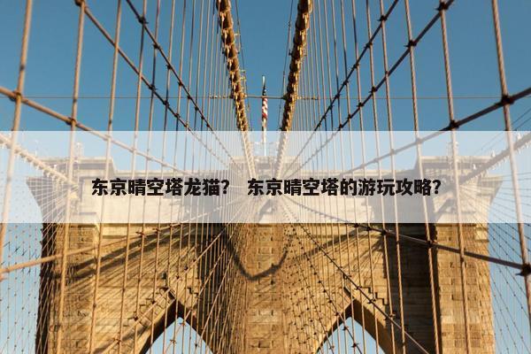 东京晴空塔龙猫？ 东京晴空塔的游玩攻略？