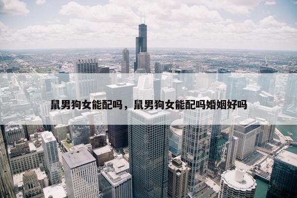 鼠男狗女能配吗，鼠男狗女能配吗婚姻好吗