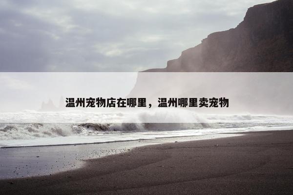 温州宠物店在哪里，温州哪里卖宠物