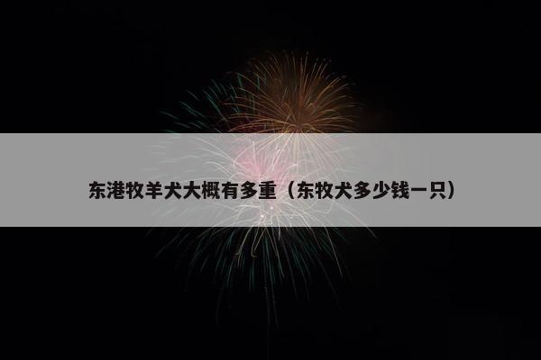东港牧羊犬大概有多重（东牧犬多少钱一只）