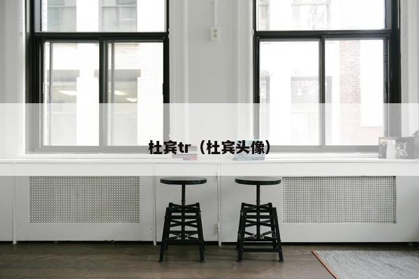 杜宾tr（杜宾头像）