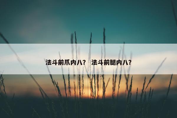 法斗前爪内八？ 法斗前腿内八？