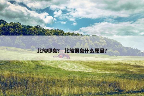 比熊哪臭？ 比熊很臭什么原因？
