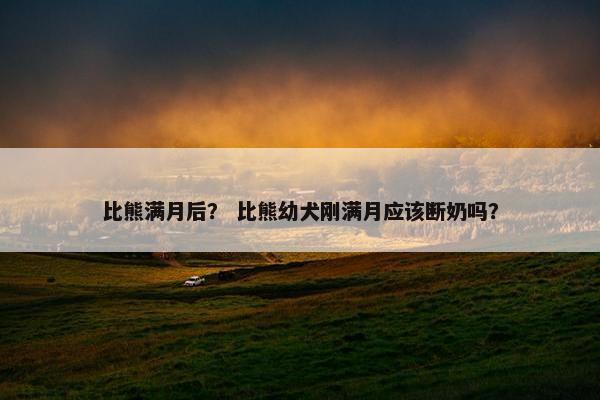 比熊满月后？ 比熊幼犬刚满月应该断奶吗？