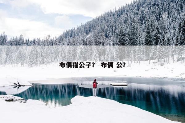 布偶猫公子？ 布偶 公？