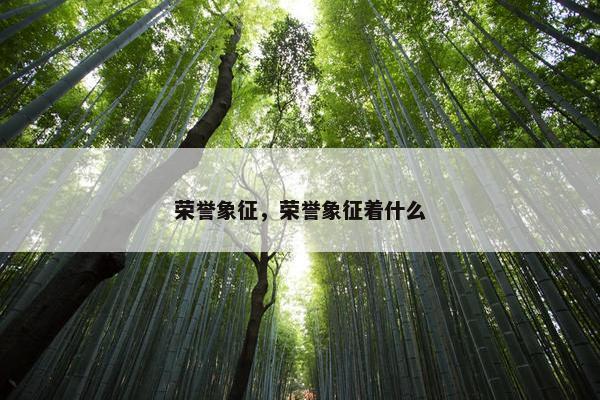 荣誉象征，荣誉象征着什么