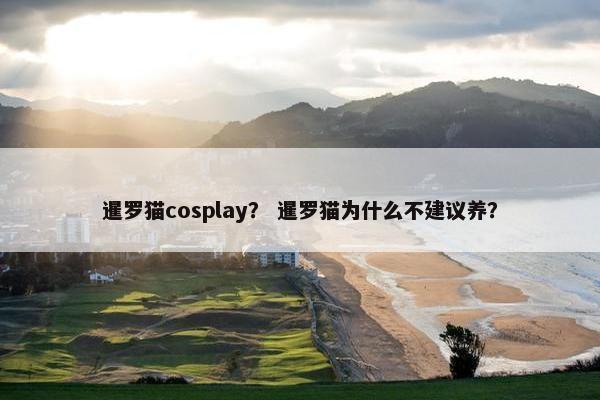 暹罗猫cosplay？ 暹罗猫为什么不建议养？