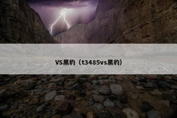 VS黑豹（t3485vs黑豹）