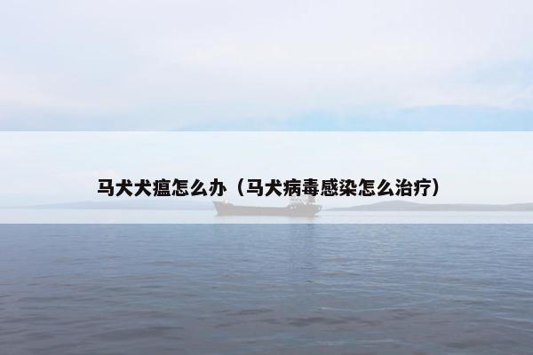 马犬犬瘟怎么办（马犬病毒感染怎么治疗）