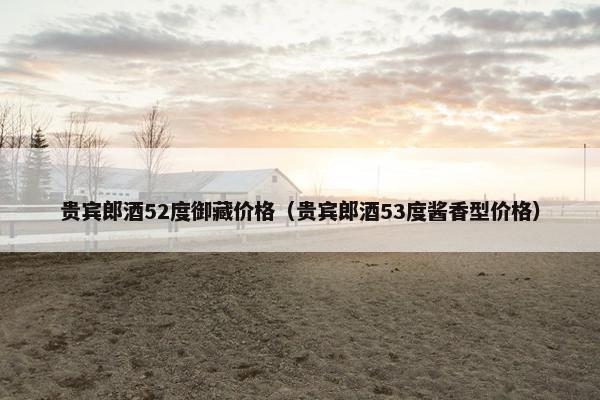 贵宾郎酒52度御藏价格（贵宾郎酒53度酱香型价格）