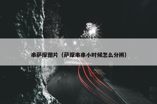 串萨摩图片（萨摩串串小时候怎么分辨）