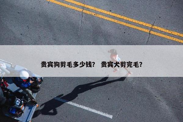 贵宾狗剪毛多少钱？ 贵宾犬剪完毛？