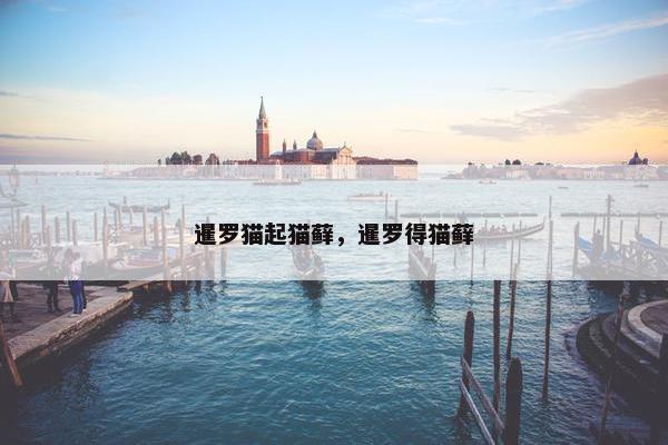 暹罗猫起猫藓，暹罗得猫藓