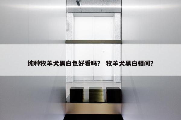 纯种牧羊犬黑白色好看吗？ 牧羊犬黑白相间？