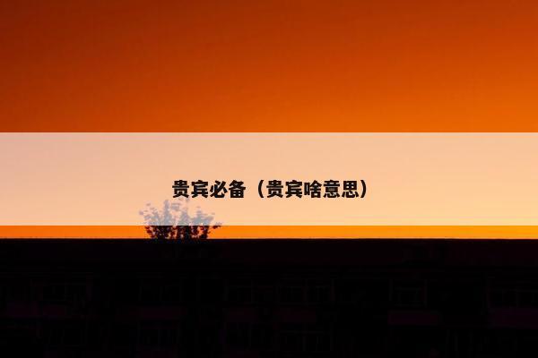 贵宾必备（贵宾啥意思）