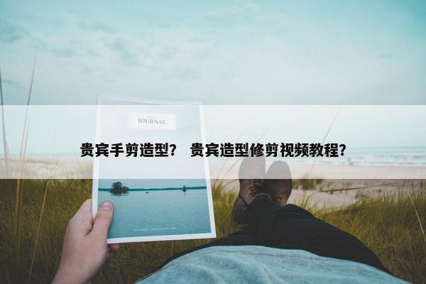 贵宾手剪造型？ 贵宾造型修剪视频教程？