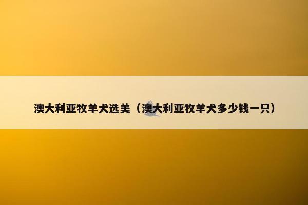 澳大利亚牧羊犬选美（澳大利亚牧羊犬多少钱一只）