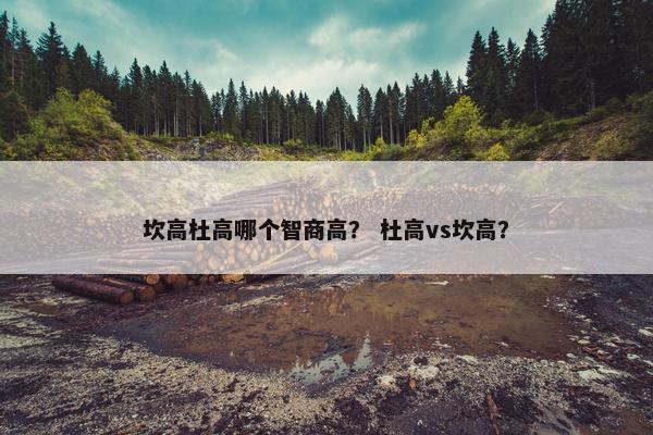 坎高杜高哪个智商高？ 杜高vs坎高？