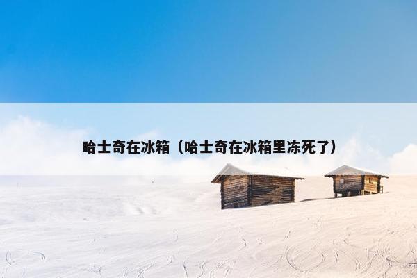 哈士奇在冰箱（哈士奇在冰箱里冻死了）