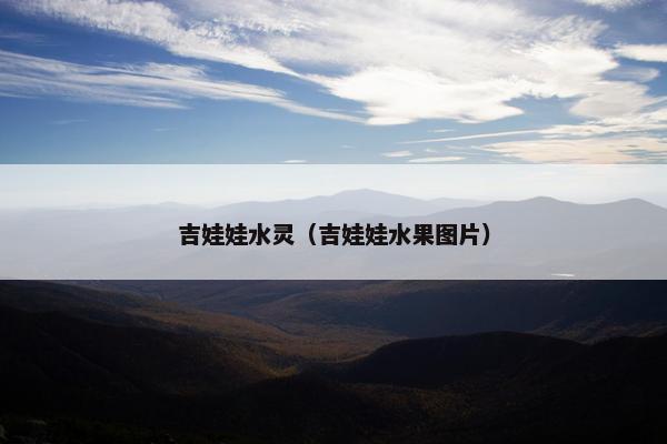 吉娃娃水灵（吉娃娃水果图片）