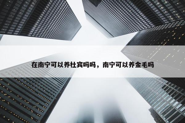 在南宁可以养杜宾吗吗，南宁可以养金毛吗