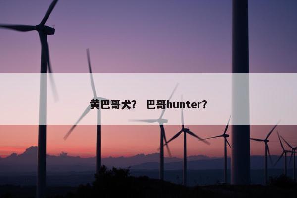 黄巴哥犬？ 巴哥hunter？