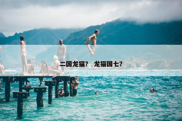 二国龙猫？ 龙猫国七？